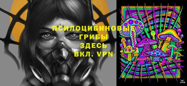 PSILOCYBIN Абдулино