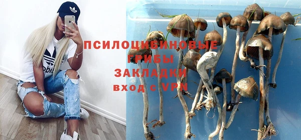 PSILOCYBIN Абдулино