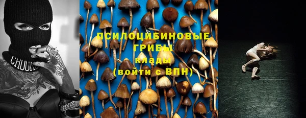 2c-b Абаза
