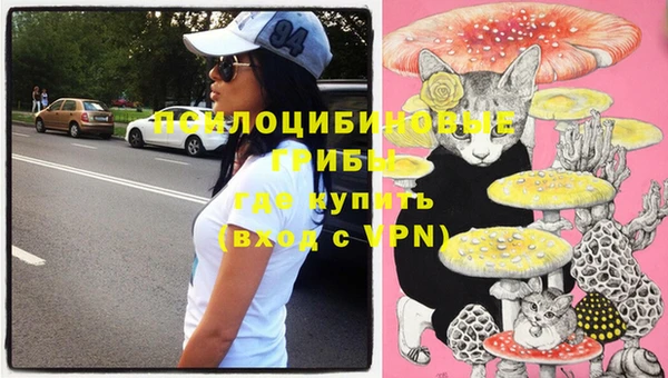 PSILOCYBIN Абдулино
