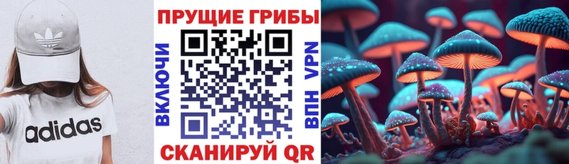 сайты даркнета формула  Энгельс  Псилоцибиновые грибы ЛСД 